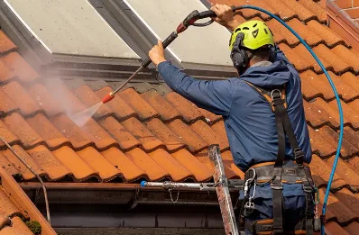 Démoussage et hydrofuge de toiture à Thoissey